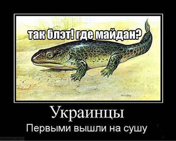 Украинцы Первыми вышли на сушу