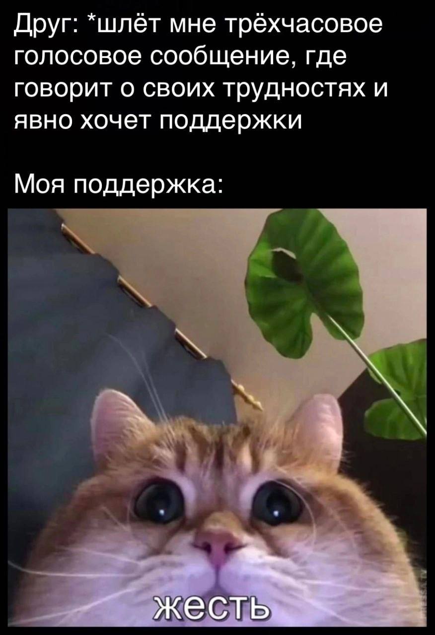 Друг: *шлёт мне трехчасовое голосовое сообщение, где говорит о своих трудностях и явно хочет поддержки Моя поддержка: 2 жесть