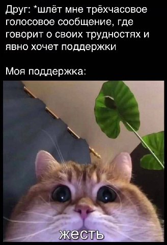 Друг: *шлёт мне трехчасовое голосовое сообщение, где говорит о своих трудностях и явно хочет поддержки Моя поддержка: 2 жесть