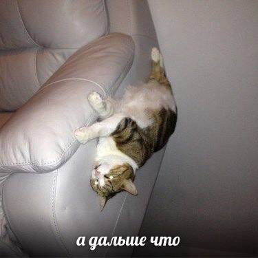 а дальше что