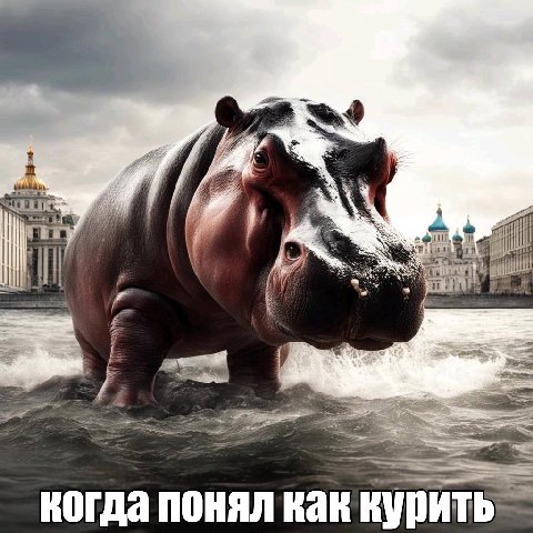 и а a когда понял как курить.
