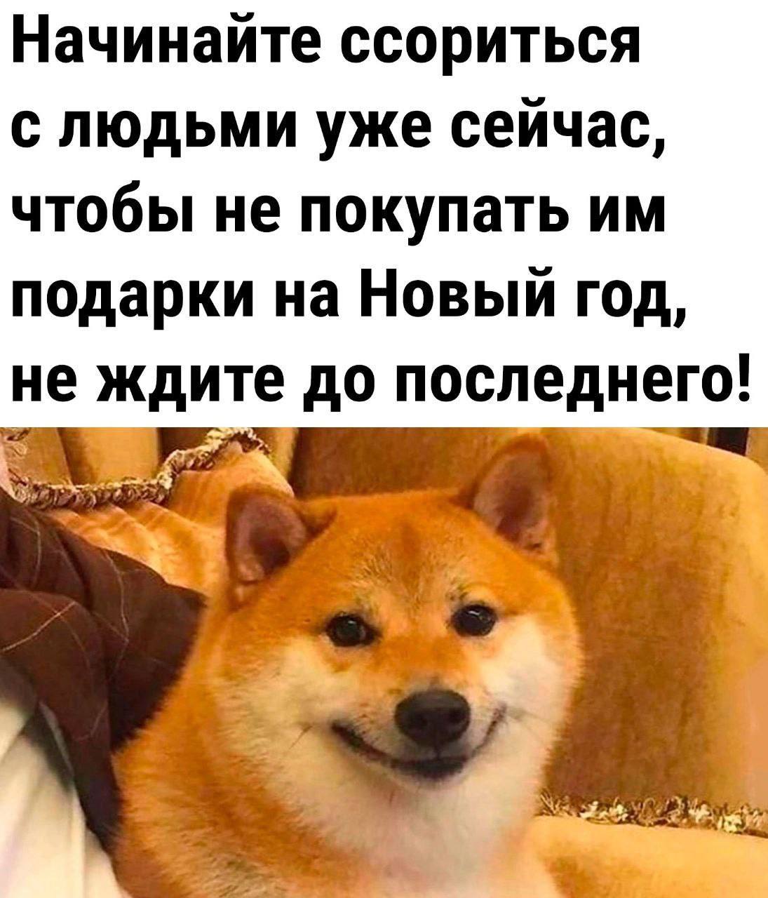 Начинайте ссориться с людьми уже сейчас, чтобы не покупать подарки на Новый год, не ждите до последнего! 2