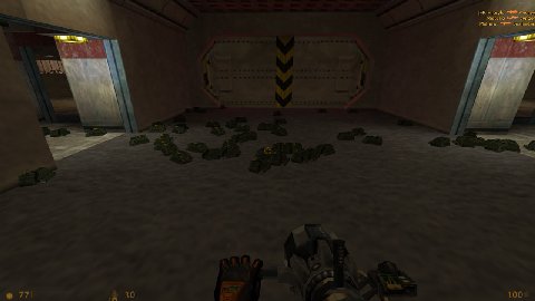 Sometimes there's funny players in Half-Life
