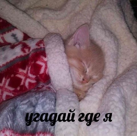 В 2 i У угадай где я