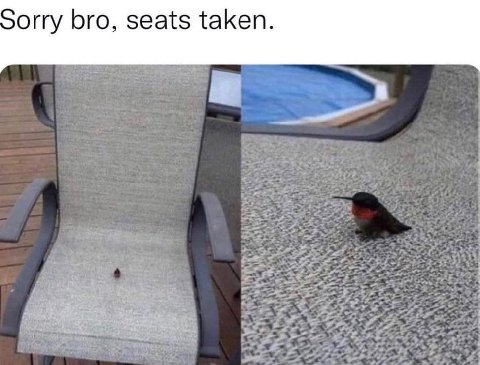 orry bro, seats taken.