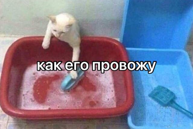 провожу