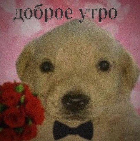 оброе утро. ite