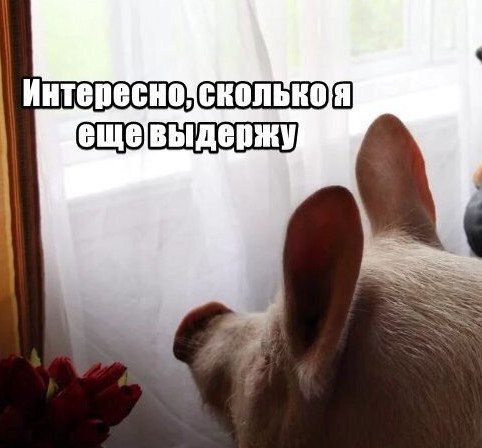 Интересно;