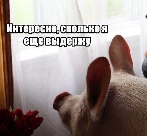 Интересно;