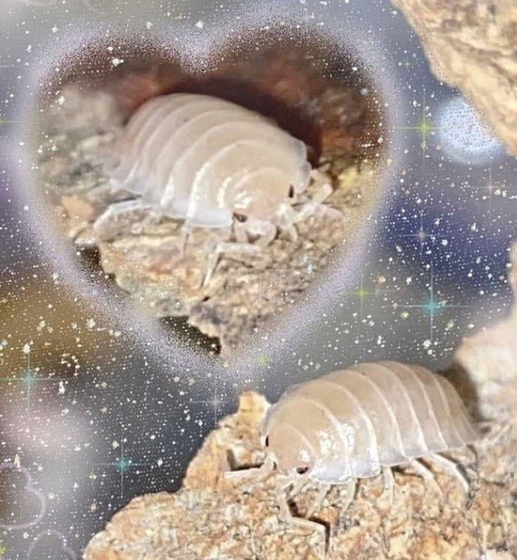 у 44 a 4 у у at 5 a у 4 у у у Bic к а „7` a 4 7