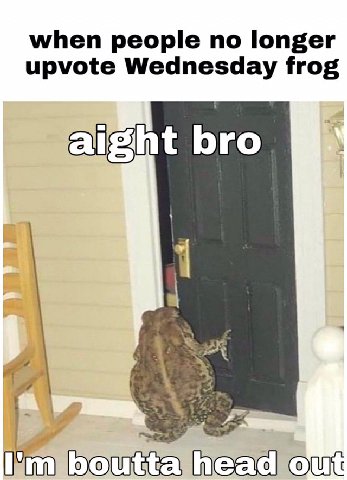 when people no longer upvote Wednesday frog bro