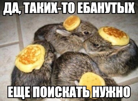 ДА, ТАКИК-ТО ЕБАНУТЫХ НУЖНО