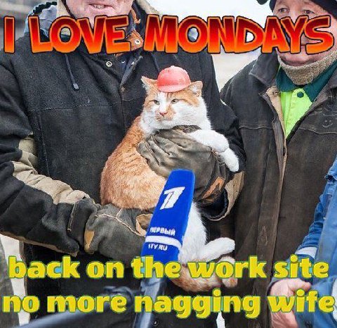 ack on the: work site о more nagging