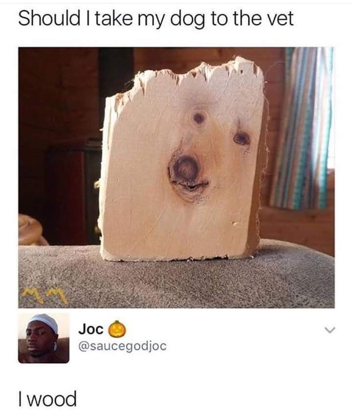 Should take my dog to the vet i 4 Joc @saucegodjoc wood
