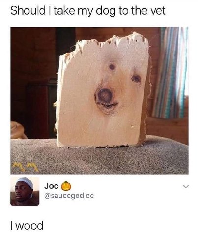 Should take my dog to the vet i 4 Joc @saucegodjoc wood