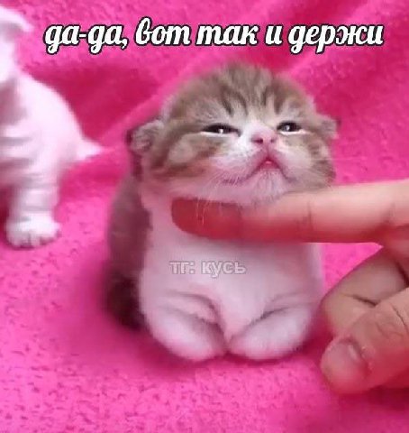 да-да, бот так и держи