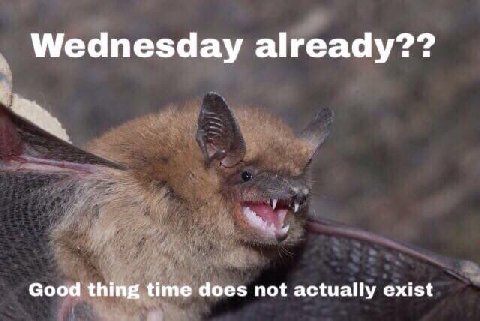 Wednesday already?? Good thing time does not actually exist