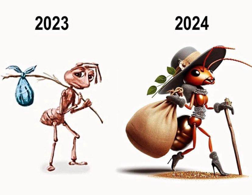 2023 2024