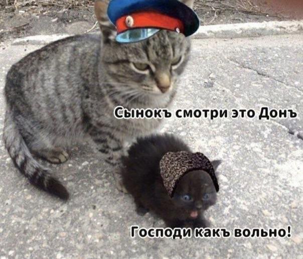 ESS Coit смотри это Донъ какъ вольно!
