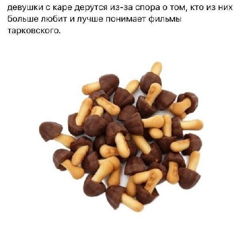 девушки с каре дерутся из-за спора о том, кто из них больше любит и лучше понимает фильмы тарковского.
