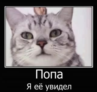 Я её увидел