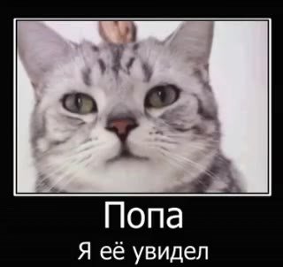 Я её увидел