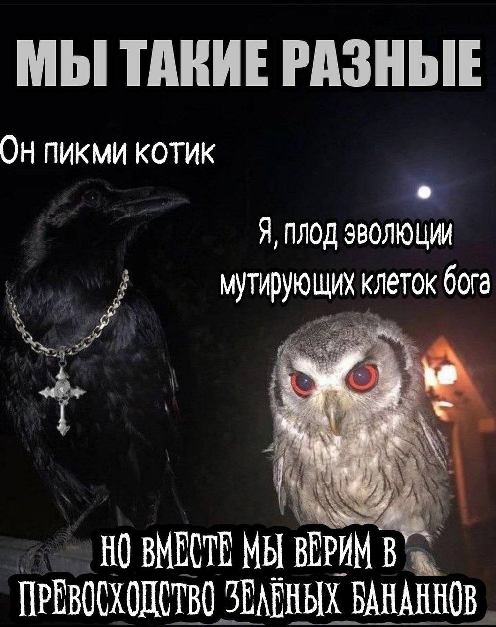 МЫ ТАКИЕ РАЗНЫЕ КОТИК Я, ПЛОД ЭВОЛЮЦИИ мутирующих клеток бога НО ВМЕСТЕ МЫ ВЕРИМ ПРЕВОСХОДСТВО SEARHBIX БАНАННОВ