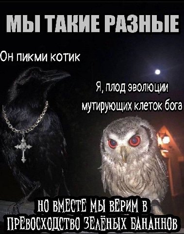 МЫ ТАКИЕ РАЗНЫЕ КОТИК Я, ПЛОД ЭВОЛЮЦИИ мутирующих клеток бога НО ВМЕСТЕ МЫ ВЕРИМ ПРЕВОСХОДСТВО SEARHBIX БАНАННОВ