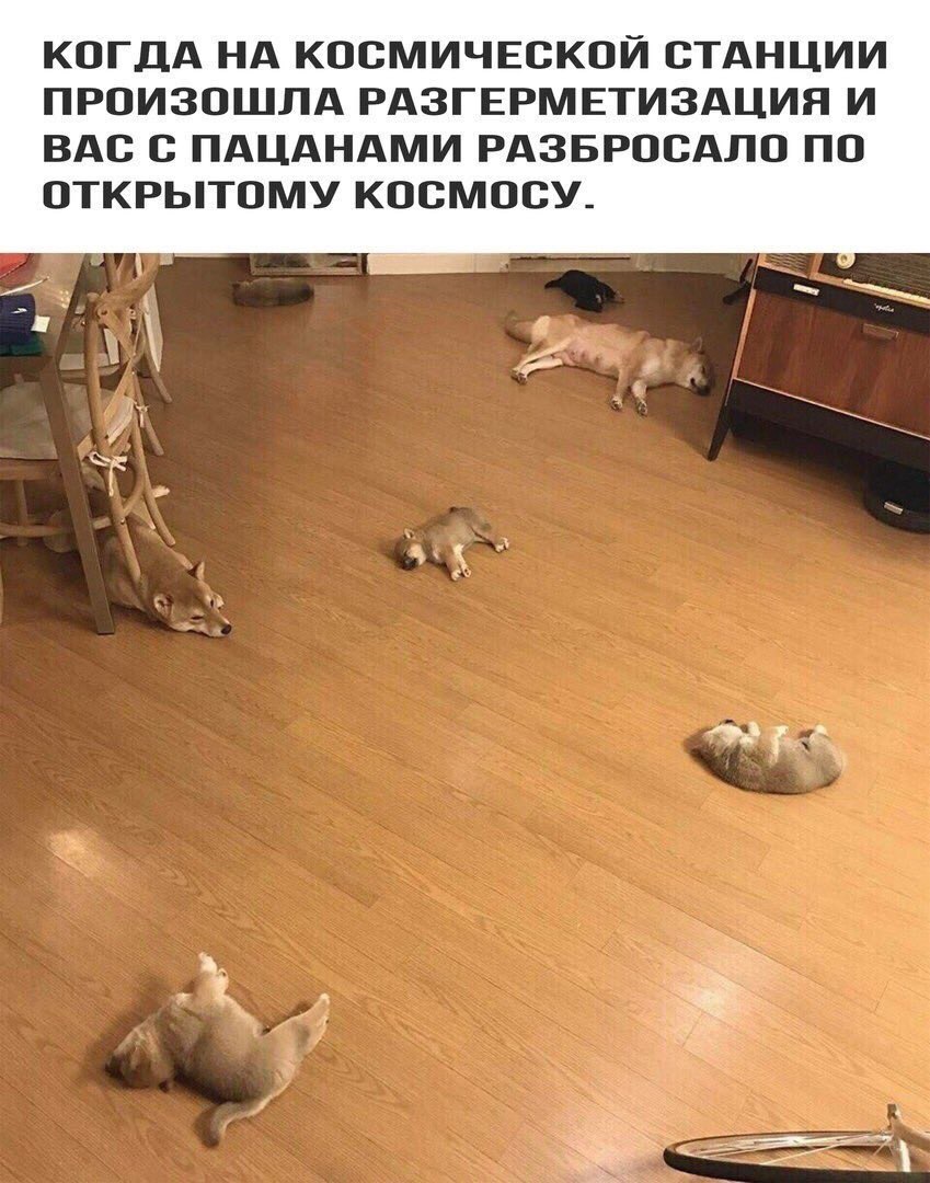 прастити