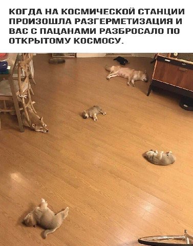 прастити