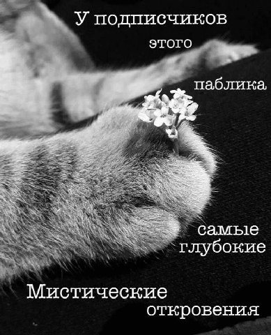 У подписчиков этого 1 паблика, самые ‘глубокие Мистические откровения