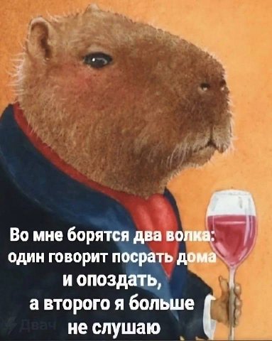 Во мне борятся два волка: один говорит посрать дома и опоздать, а второго я больше He слушаю