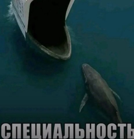 СПЕЦИАЛЬНОСТЬ