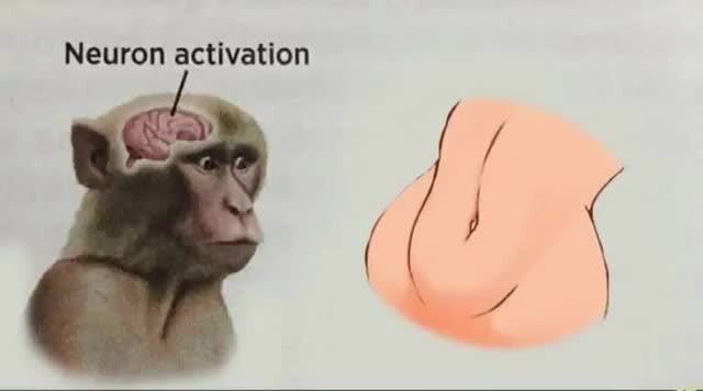 Neuron activation