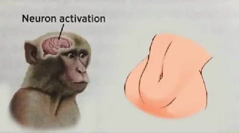 Neuron activation