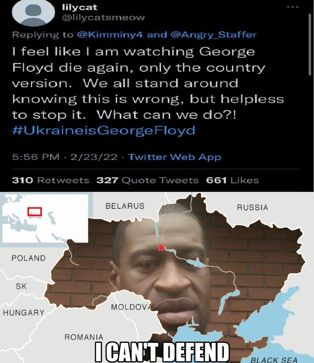 lilycat @lilycatsmeow to @Kimminy4 and feel like watching George Floyd die again, only the country version. We all stand around knowing this is wrong, but helpless to stop it. What can we #UkraineisGe