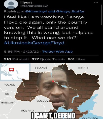 lilycat @lilycatsmeow to @Kimminy4 and feel like watching George Floyd die again, only the country version. We all stand around knowing this is wrong, but helpless to stop it. What can we #UkraineisGe