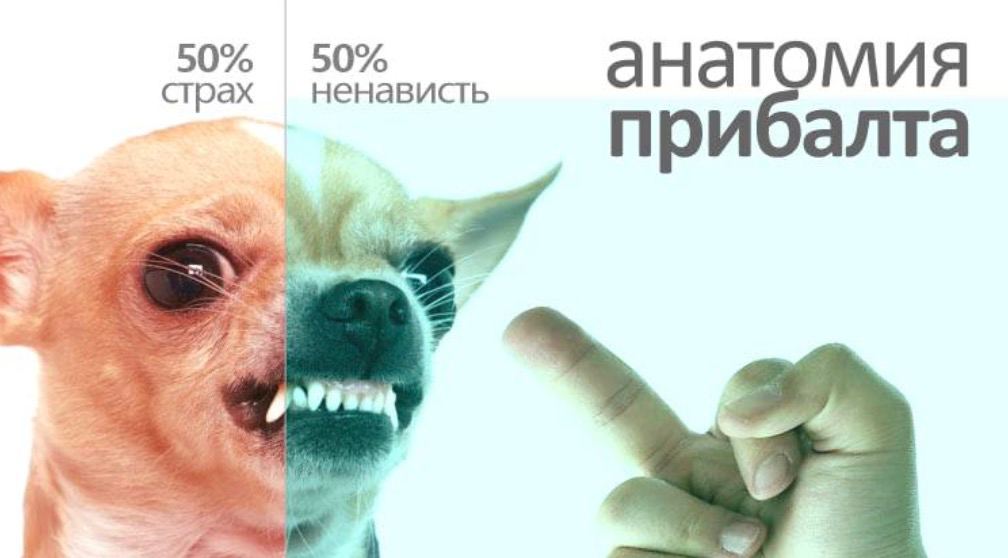 50% о анат МИЯ страх ненависть прибалта is