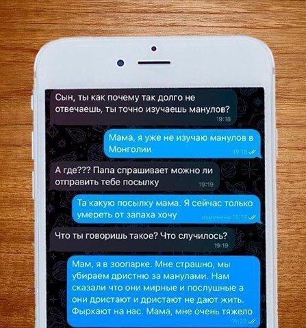 a7 Сын, ты как почему так долго не отвечаешь, ты точно изучаешь манулов? Мама, я уже не изучаю манулов в Монголии А где??? Папа спрашивает можно ли отправить тебе посылку какую посылку мама. Я сейчас 