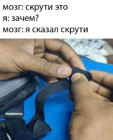 мозг: скрути это я: зачем? мозг: я сказал скрути 9 4