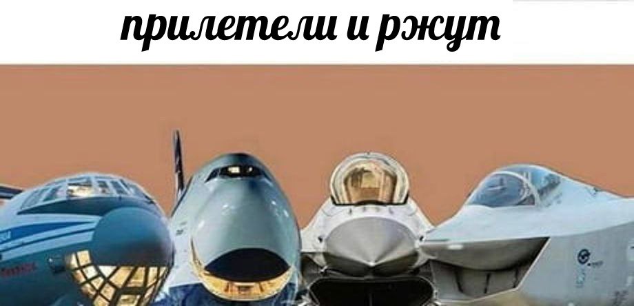 прилетели и ржут