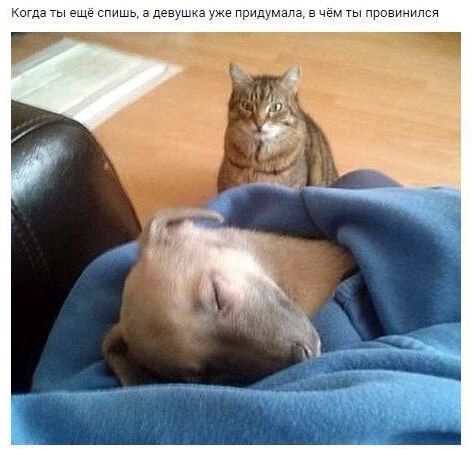Когда ты ещё спишь, а девушка уже придумала, в чём ты провинился