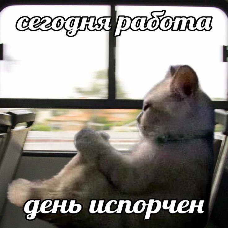 день испорчен