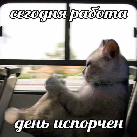 день испорчен