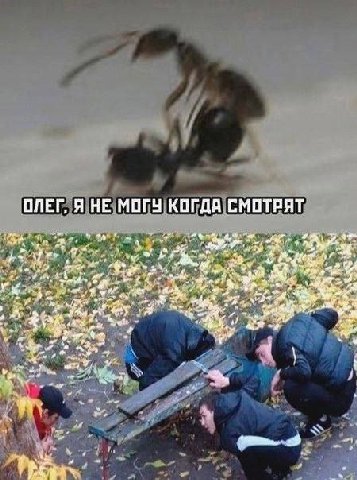 ОЛЕГ, Я НЕ МОГУ КОГДА СМОТРЯТ Sof 4