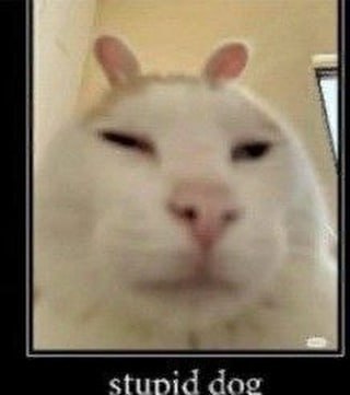 у 1