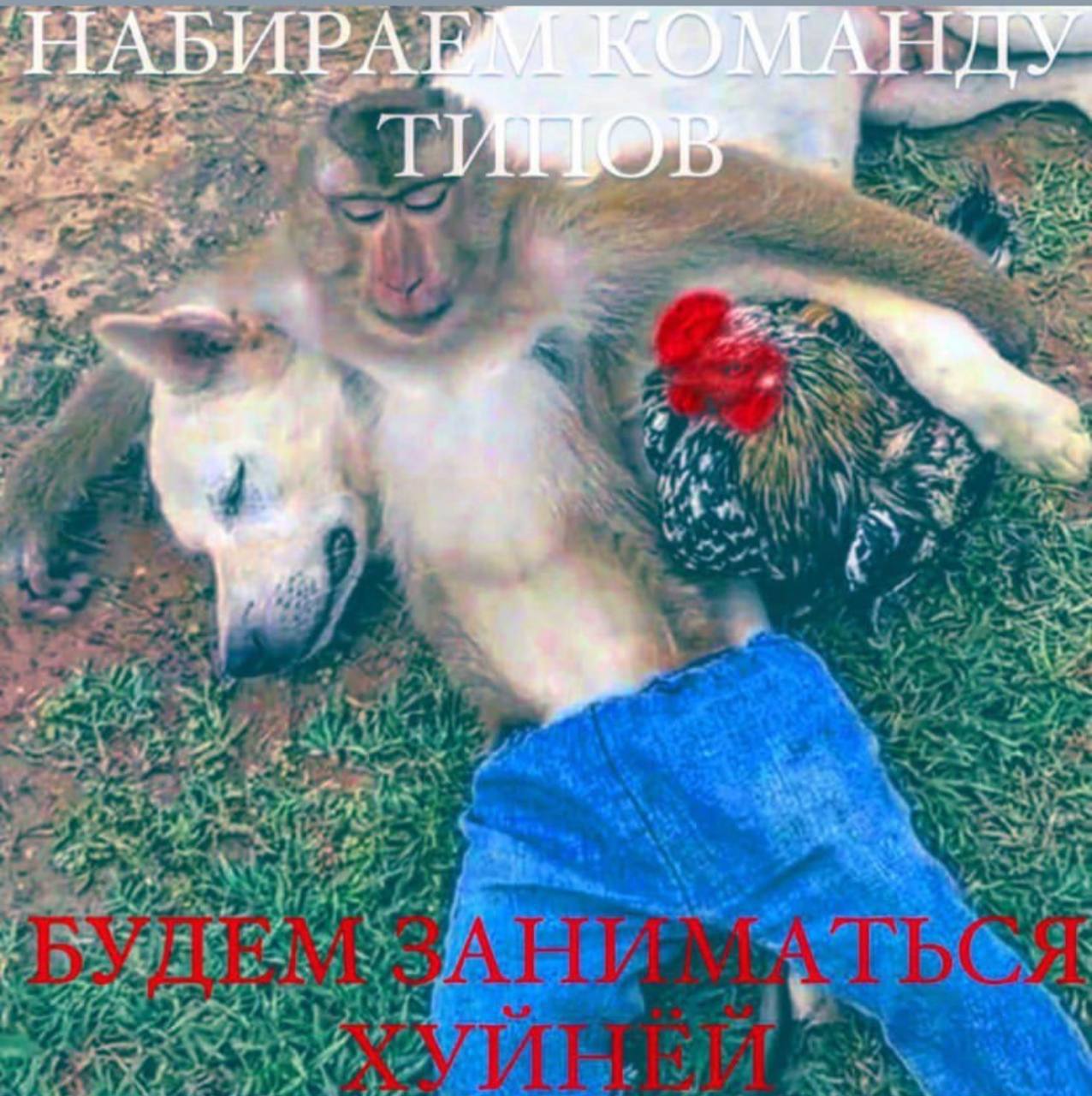 НАБИРА
