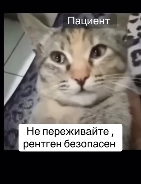 Не переживайте, = рентген безопасен [7%