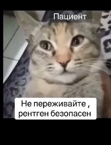 Не переживайте, = рентген безопасен [7%