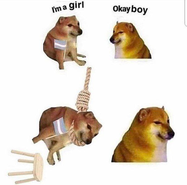 Okay boy я